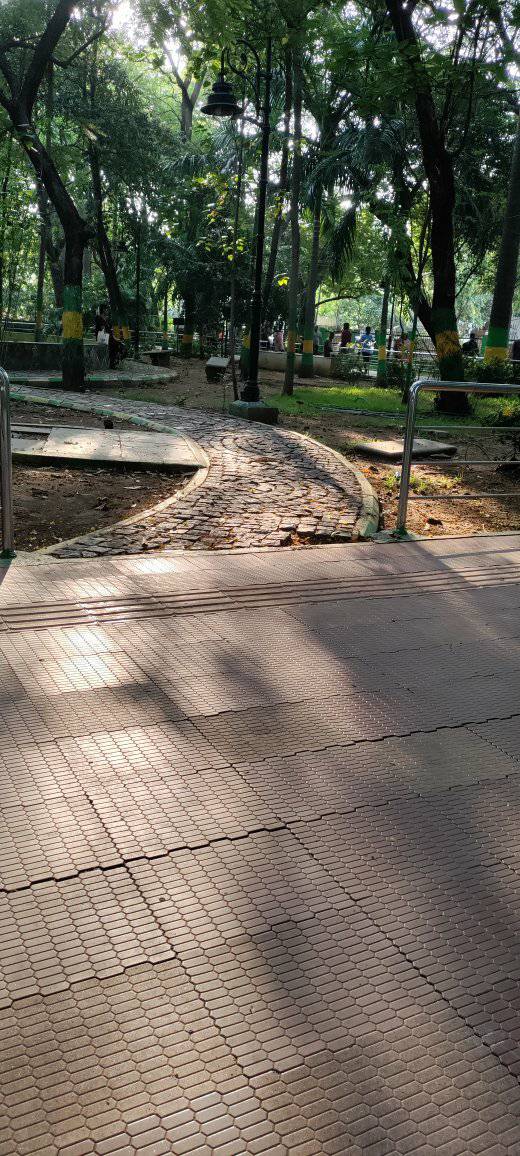 கைகால் முளைத்த அன்னப் பறவையை போல – என் புதிய நாவல் றெக்கை